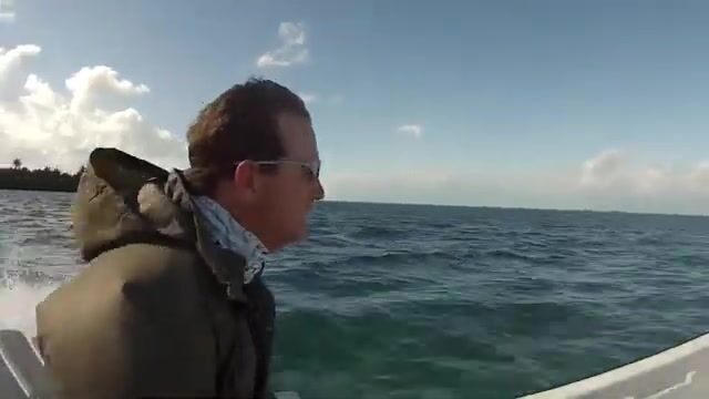 Сколько раз прыгнет тарпон у Кей-Колкера, прежде чем сдаться?