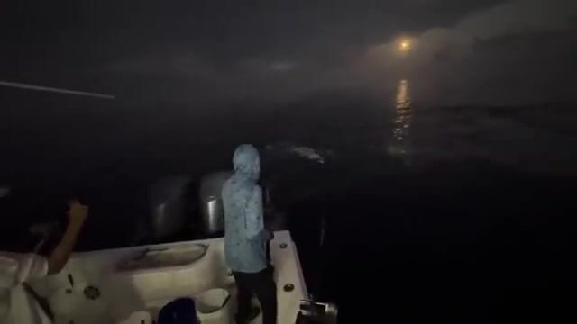 23 ваху за два дня, банка Пикл-Бэнк у Каймановых островов