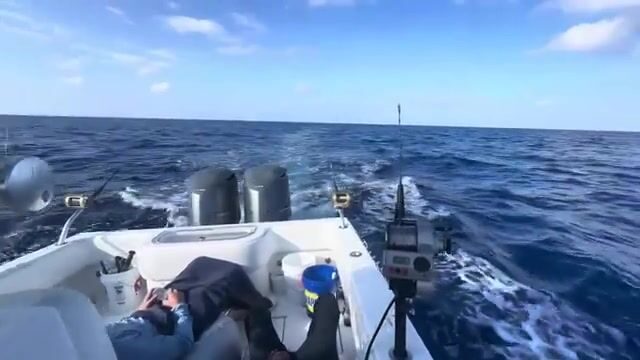 23 ваху за два дня, банка Пикл-Бэнк у Каймановых островов