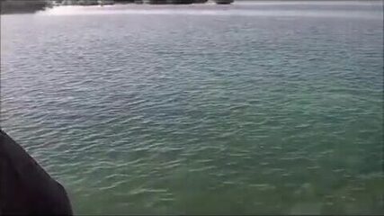 Три барракуды за час в проливе Кайо-Коко - Кайо-Гильермо