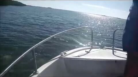 Три барракуды за час в проливе Кайо-Коко - Кайо-Гильермо