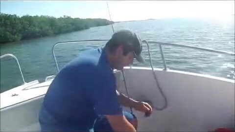 Три барракуды за час в проливе Кайо-Коко - Кайо-Гильермо