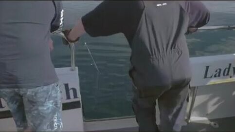 Кельтское море, три сорок утра: выходим с Робом Ренни за акулой на «Леди Джу»