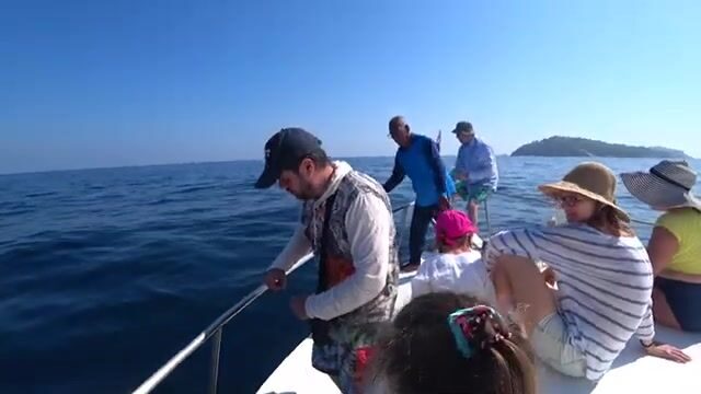 Выходите из Чалонга затемно: утренний клёв на Пхукете короче, чем кажется