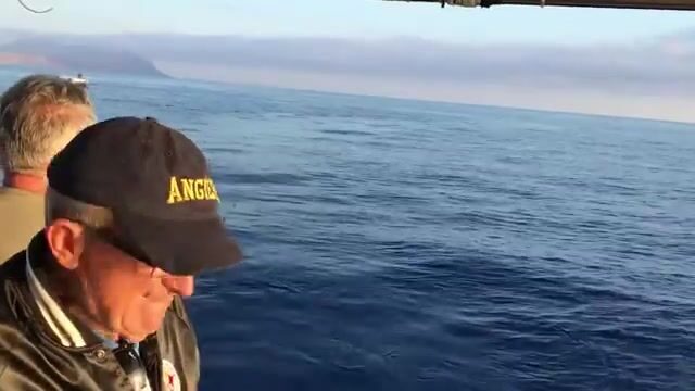 150 евро и шесть рыбин за час: глубоководный выход из Ханьи оказался дешевле, чем ждал