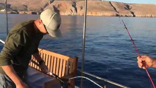 150 евро и шесть рыбин за час: глубоководный выход из Ханьи оказался дешевле, чем ждал