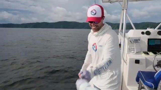 Кубера и рыба-петух у острова Койба (Панама): бывшая тюрьма без единой души