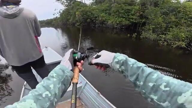 Три дня я поднимался по притокам Инириды к лагерю на Каньо-Боконе за тукунаре