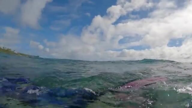 Зачем ныряльщики у островов Кука бьют рыбу гарпуном, а не удочкой?