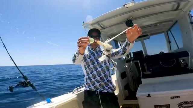 Топлю джиг на сто метров у Корал-Бея, а вместо трески на крючке акула