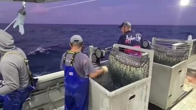 300 миль в открытом Коралловом море (Австралия), буйки через каждые четыре мили