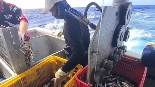 300 миль в открытом Коралловом море (Австралия), буйки через каждые четыре мили