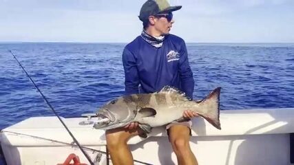 Экспедиция в сердце Кораллового моря - и рыба получает прозвище «динозавр»