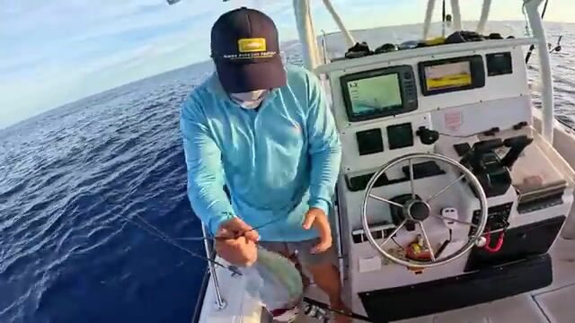 Экспедиция в сердце Кораллового моря - и рыба получает прозвище «динозавр»