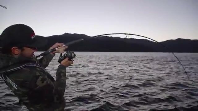 Три короля за сутки - таким был план похода к Короманделу (Новая Зеландия)