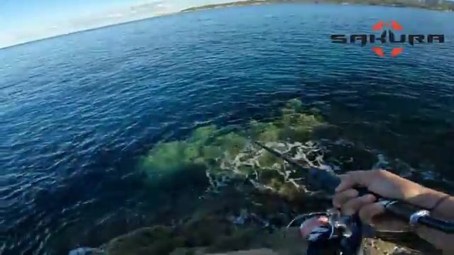 Ночь опускается на скалы Корсики - выхожу на крупную барракуду