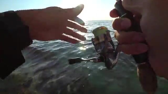 Четыре вида рыбы за час на пирсе Дивноморского
