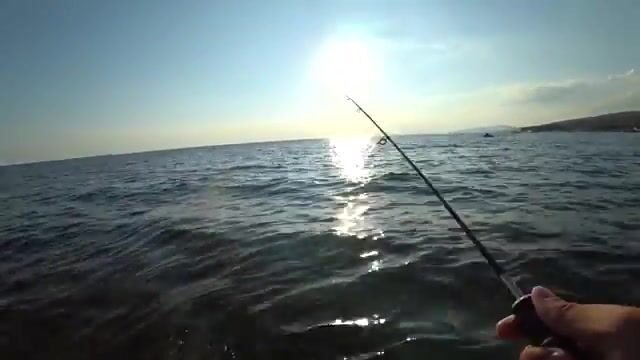 Четыре вида рыбы за час на пирсе Дивноморского