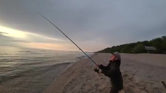 Бегаю между донками на Балтике под Балтийском - камбала не даёт передышки