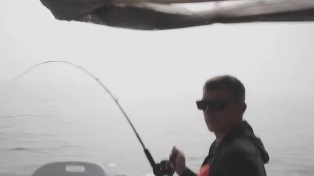«Треска берёт до полудня, потом ищи новую банку» - сказал штурман в Балтийском море
