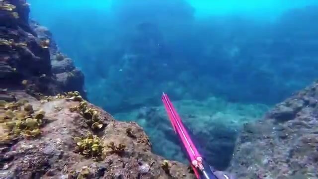 Не пляжный Эль-Нидо, а разрыв рифа у необитаемого острова: каранкс GT в упор