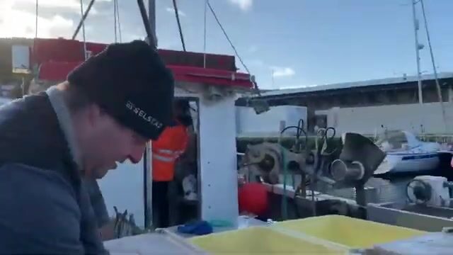 На Фарерах треска берёт при семи градусах воды