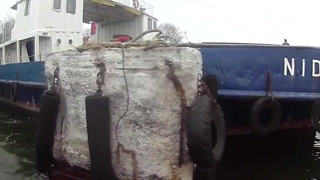 На Балтийской косе, у самого парома, вёдрами таскаешь салаку