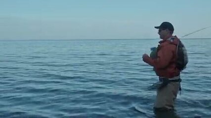 «Не гонись за крупной мушкой» - урок морской форели у датского берега