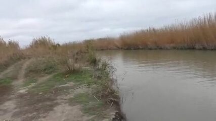 Куда прячется сазан осенью в дагестанских протоках?