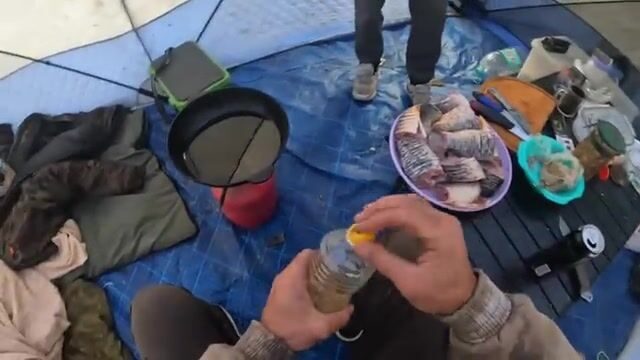 Куда прячется сазан осенью в дагестанских протоках?