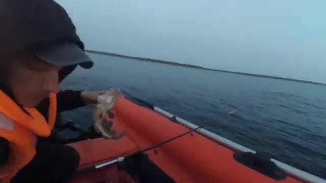 У мыса Малинник под Беломорском джиг поднимает донную треску