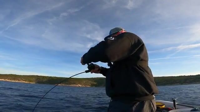 Кальмар в руке, зубан на крючке: хорватская Адриатика играет в свою игру