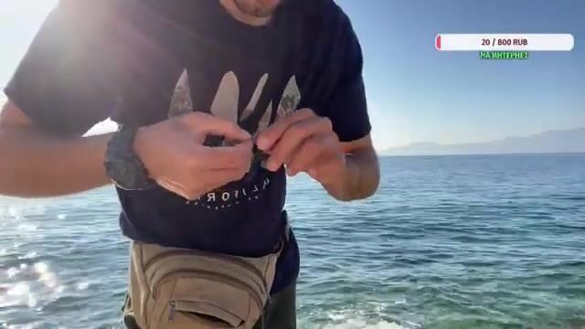 Дальян... скалы Эгейского берега и рыба, что бьёт из засады