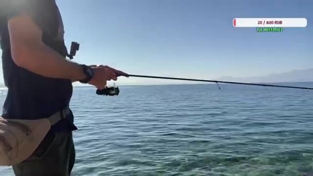 Дальян... скалы Эгейского берега и рыба, что бьёт из засады