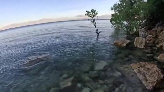 Скрытый рукав под Дарвином: баррамунди прячется там, где не ищут лодки