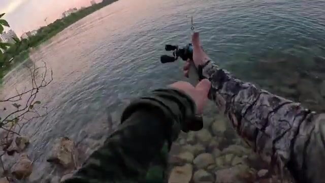 Скрытый рукав под Дарвином: баррамунди прячется там, где не ищут лодки