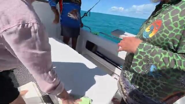 Дарвин, Тиморское море: новая лодка, первый выход на синюю воду