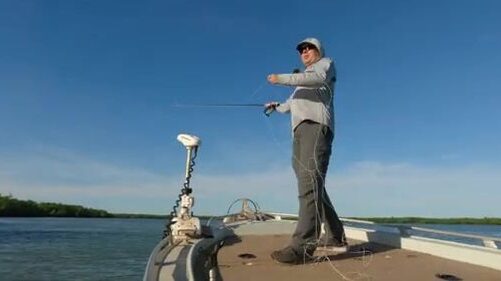 Каранкс вместо баррамунди: нахлыст на илистых отмелях Дарвина