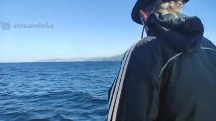 В открытое море из Дивноморского за косяком, который то есть, то нет
