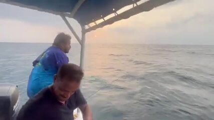 Дибба-эль-Фуджейра (ОАЭ): горы у самой воды, а рыба у самых ног