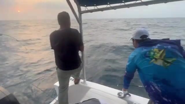 Дибба-эль-Фуджейра (ОАЭ): горы у самой воды, а рыба у самых ног