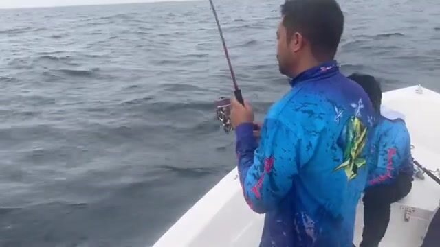 Дибба-эль-Фуджейра (ОАЭ): горы у самой воды, а рыба у самых ног