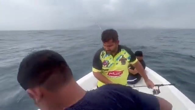 Дибба-эль-Фуджейра (ОАЭ): горы у самой воды, а рыба у самых ног
