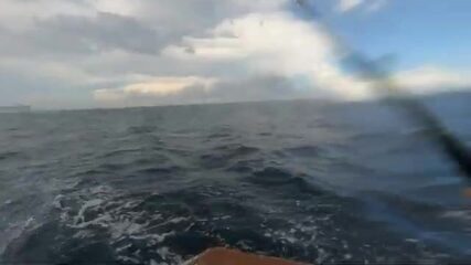 Ищи барракуду у рифов Форт-Лодердейла: живец и стальной поводок обязательны