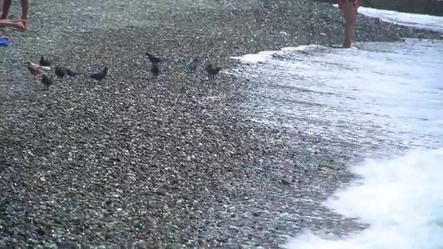 Вышли в море под Геленджиком утром, а вечером взяли карпа на платнике