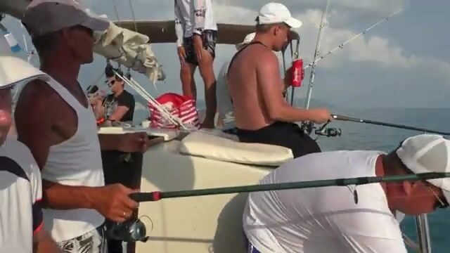 Геленджикский пирс, ставрида: без нулей за вечер