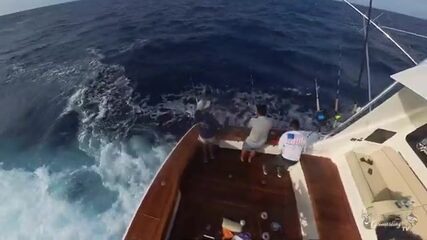 Доминикана: марлин выходит на свале в восьми милях от Кабеса-де-Торо