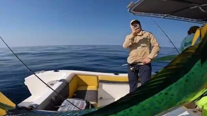 Фуджейра: махи-махи или ноль, без вариантов