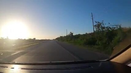 Три дня в открытом океане: доминиканские воды учат читать линию водорослей