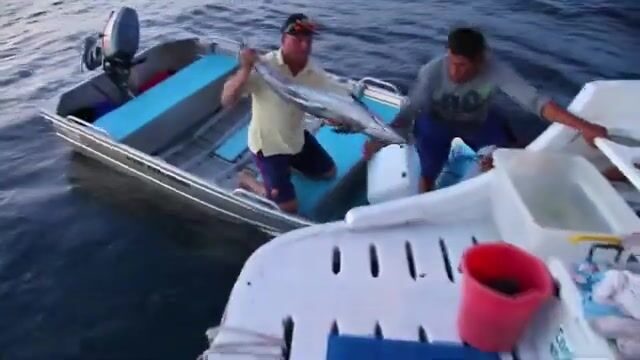 Заплыв в открытое море Флорес (Индонезия): что скрывает риф на пятнадцати метрах?